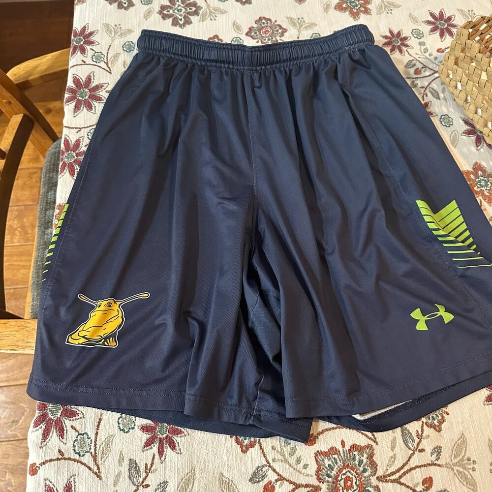 Under Armour Santa Cruz Slug Athletic Shorts, Large, Blue, Elastic Waist
